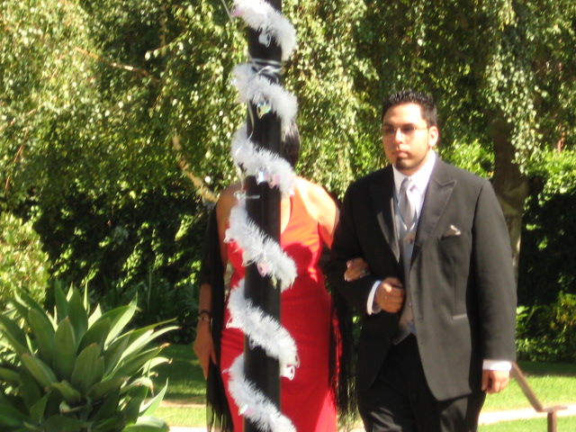 617x456 pixels (157K)